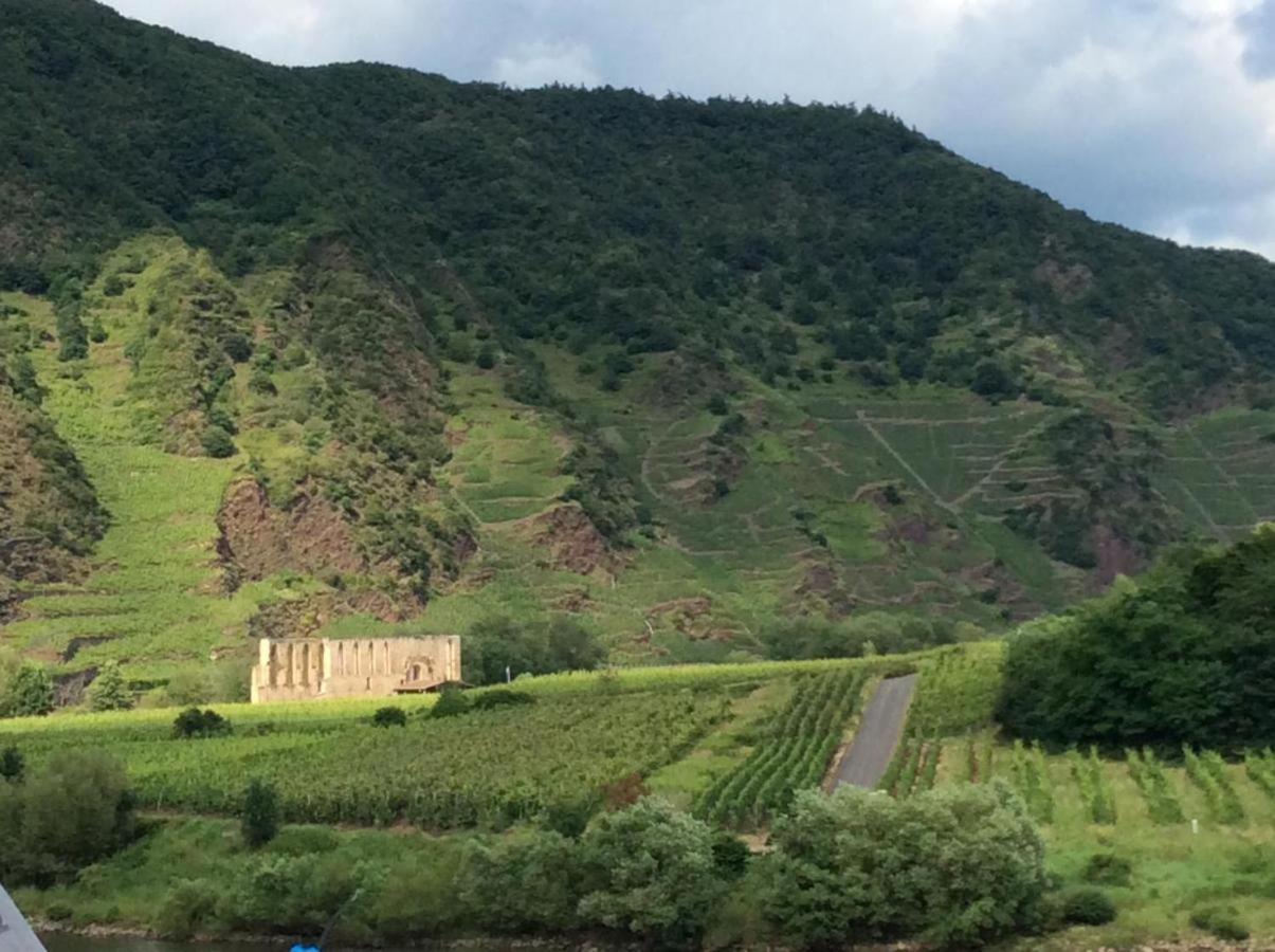 Ferienhaus Mosel 2.0 Bremm Bagian luar foto